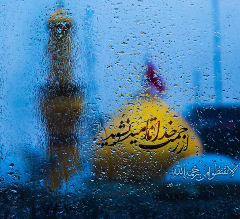 نشو